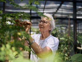 巴西修女获得联合国难民奖